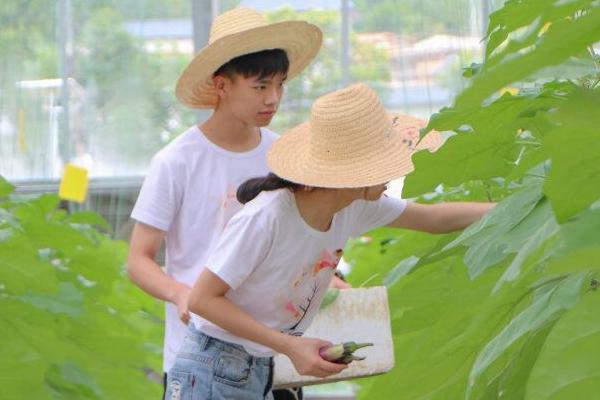 梓山富硒蔬菜园（梓山蔬菜基地）-硒宝网