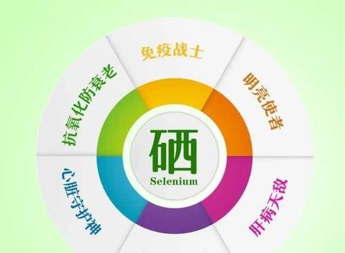 富硒蔬菜蛋白质(蛋白硒素类食物)-硒宝网