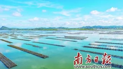 富硒蔬菜靠谱吗（富硒蔬菜有什么好处）-硒宝网