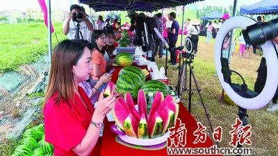 富硒蔬菜靠谱吗（富硒蔬菜有什么好处）-硒宝网