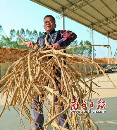 富硒蔬菜靠谱吗（富硒蔬菜有什么好处）-硒宝网