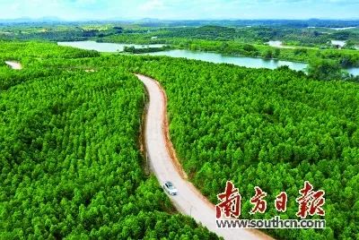 富硒蔬菜靠谱吗（富硒蔬菜有什么好处）-硒宝网