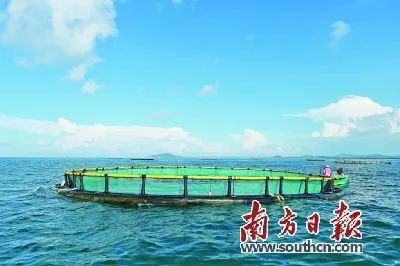 富硒蔬菜靠谱吗（富硒蔬菜有什么好处）-硒宝网