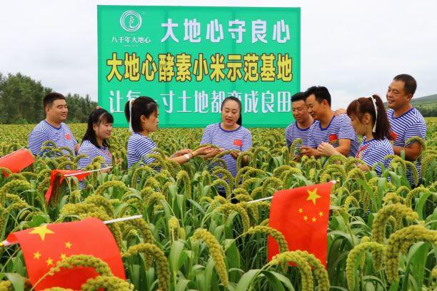 富硒蔬菜专用肥（富硒蔬菜为什么不能喷洒叶面肥）-硒宝网