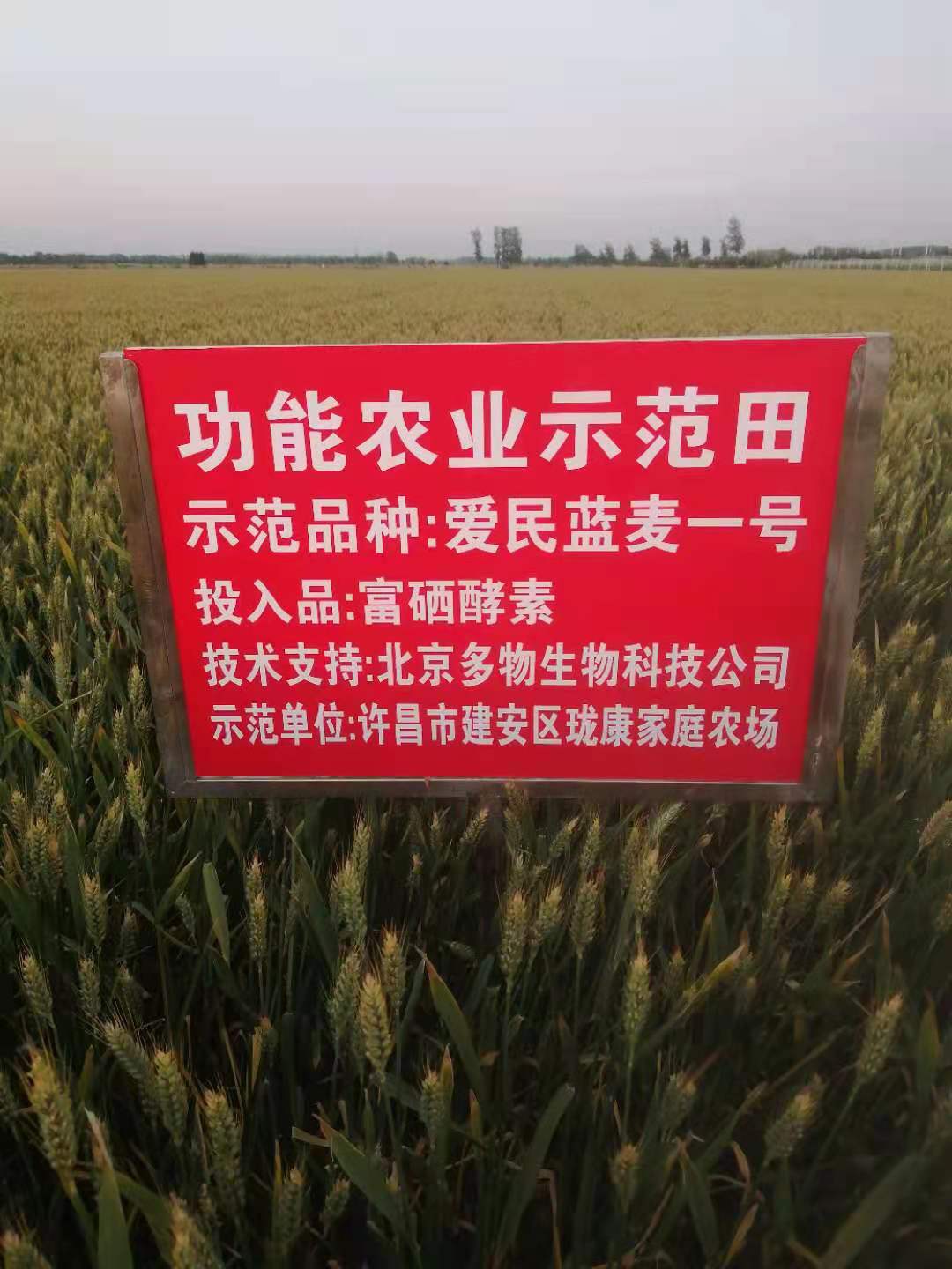 富硒蔬菜专用肥（富硒蔬菜为什么不能喷洒叶面肥）-硒宝网