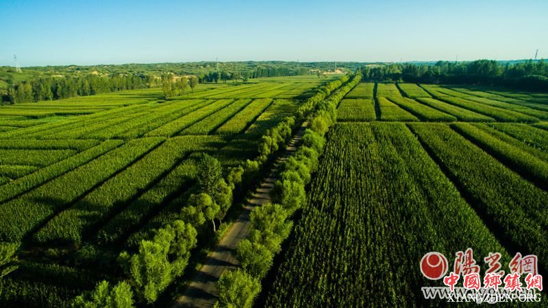 百亩田富硒蔬菜（富硒蔬菜是什么）-硒宝网