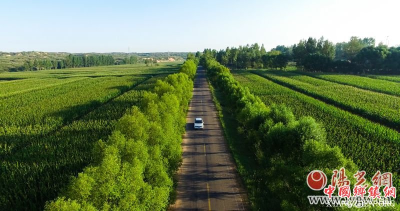 百亩田富硒蔬菜（富硒蔬菜是什么）-硒宝网