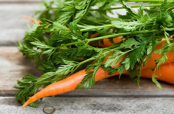 富硒高钙的蔬菜(蔬菜硒含量高的菜有哪些)-硒宝网