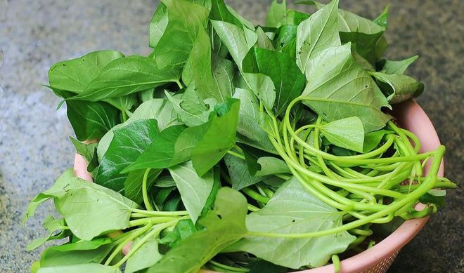 富硒高钙的蔬菜(蔬菜硒含量高的菜有哪些)-硒宝网