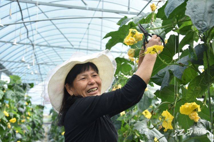 潭头村富硒蔬菜(名胜富硒农庄)-硒宝网