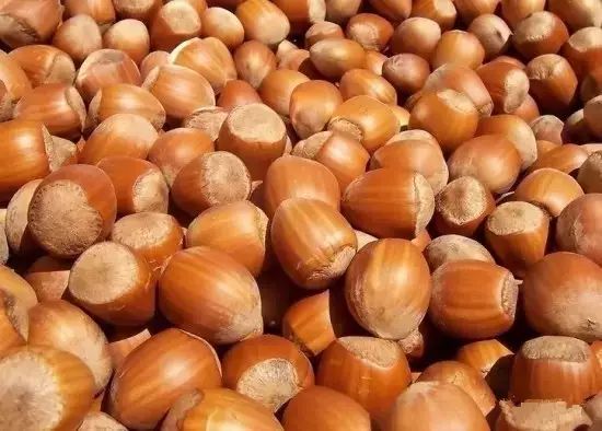 王鲍镇富硒蔬菜(富硒蔬菜产业园)-硒宝网