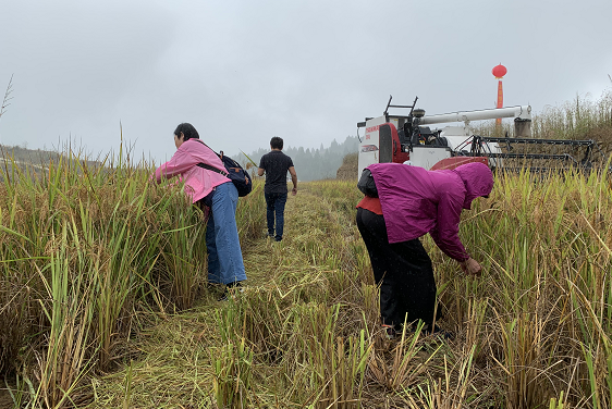 富硒蔬菜加盟店(蔬菜加盟店10大品牌)-硒宝网