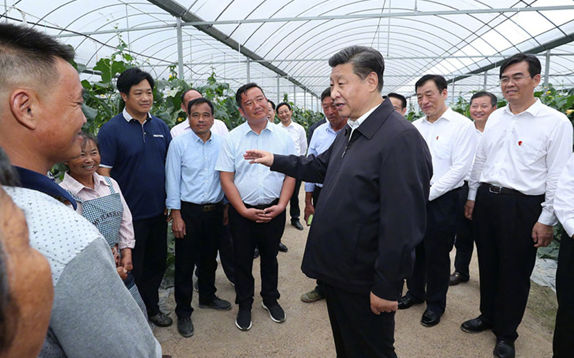 于都县富硒水果(于都富硒产业发展中心)-硒宝网