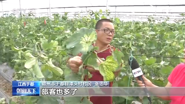 张家口富硒蔬菜(河北张家口农爱富硒)-硒宝网