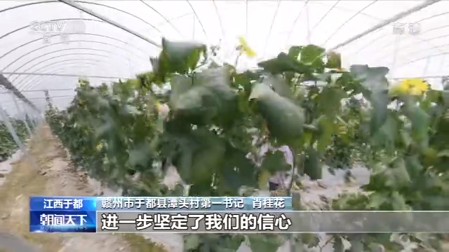 张家口富硒蔬菜(河北张家口农爱富硒)-硒宝网