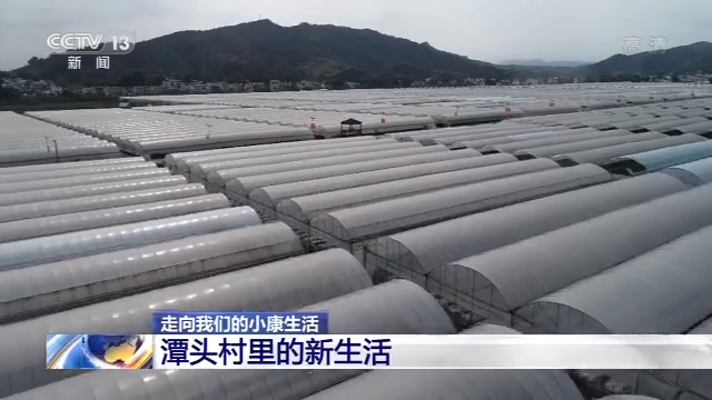 张家口富硒蔬菜(河北张家口农爱富硒)-硒宝网