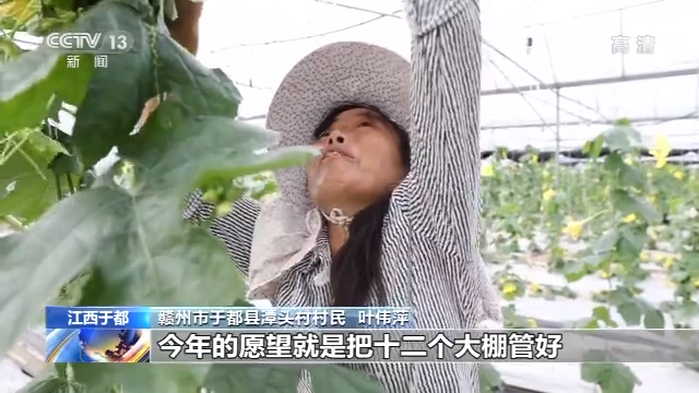 张家口富硒蔬菜(河北张家口农爱富硒)-硒宝网