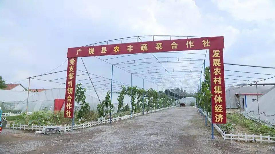 富硒蔬菜种植园(蔬菜富硒标准是多少)-硒宝网