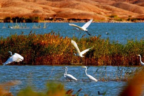 嘉峪关富硒水果(国家富硒水果标准)-硒宝网