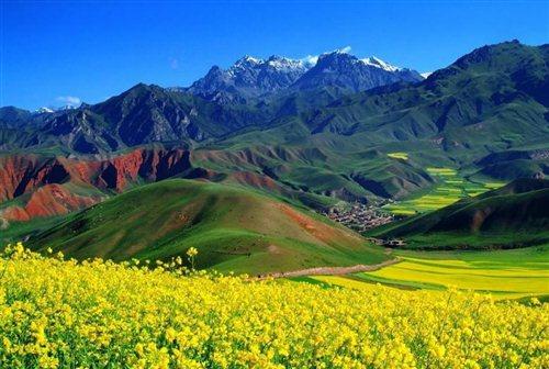 嘉峪关富硒水果(国家富硒水果标准)-硒宝网