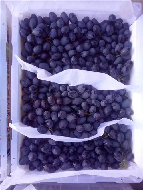 嘉峪关富硒水果(国家富硒水果标准)-硒宝网