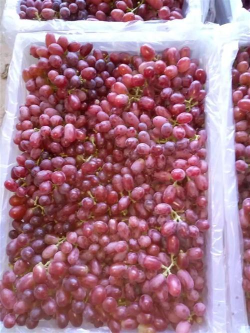 嘉峪关富硒水果(国家富硒水果标准)-硒宝网