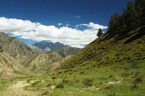 嘉峪关富硒水果(国家富硒水果标准)-硒宝网