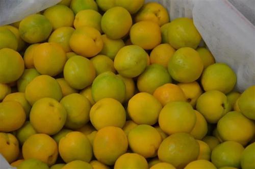 嘉峪关富硒水果(国家富硒水果标准)-硒宝网