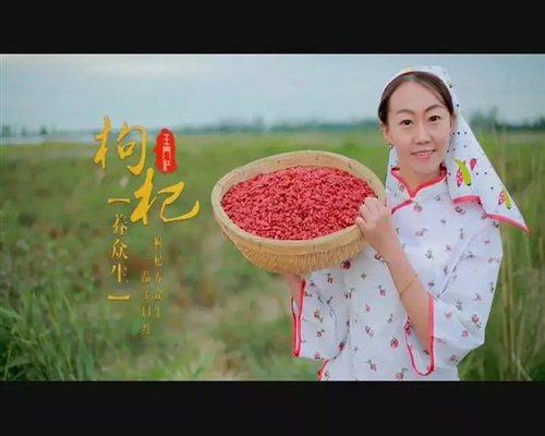 嘉峪关富硒水果(国家富硒水果标准)-硒宝网