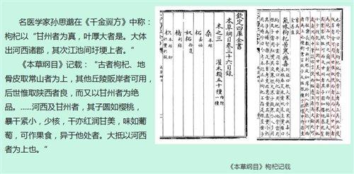 嘉峪关富硒水果(国家富硒水果标准)-硒宝网