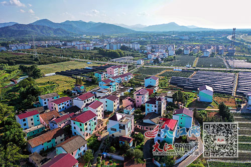 窑儿山富硒蔬菜（仙寓山富硒野茶毅林）-硒宝网