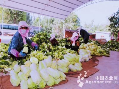 富硒水果俏市场（富硒果园）-硒宝网