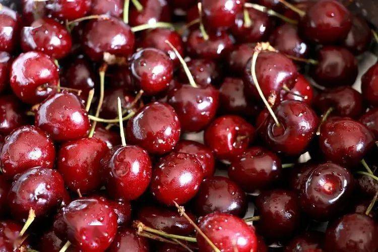 富硒蔬菜佛手瓜（蔬菜佛手瓜的药用价值）-硒宝网