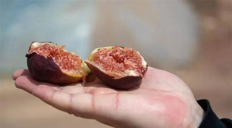 富硒蔬菜佛手瓜（蔬菜佛手瓜的药用价值）-硒宝网