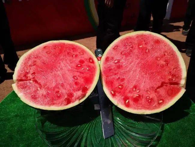 富硒蔬菜佛手瓜（蔬菜佛手瓜的药用价值）-硒宝网