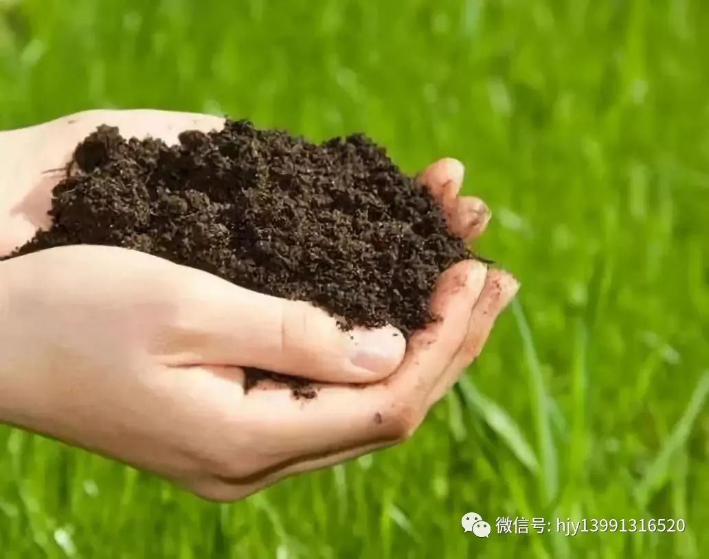 富硒水果的做法（水果做法富硒怎么做）-硒宝网