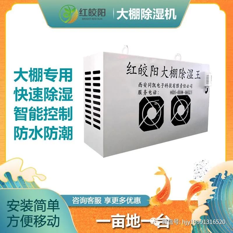 富硒水果的做法（水果做法富硒怎么做）-硒宝网