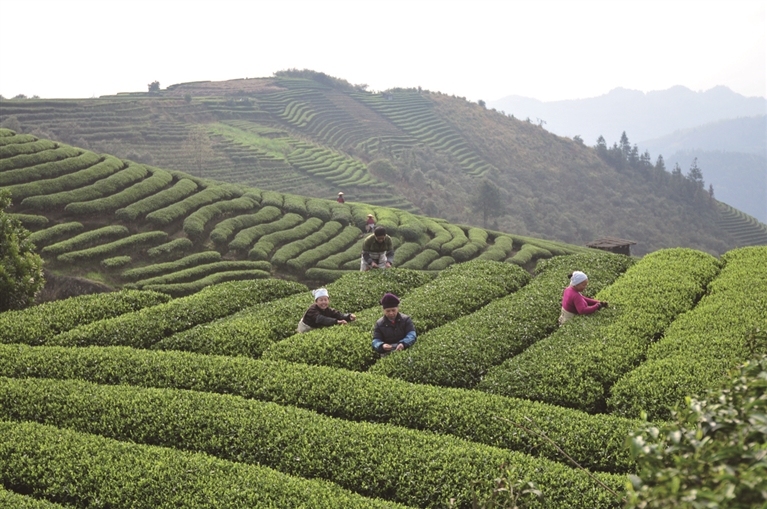 夷陵区富硒水果(富硒大米真的富硒吗)-硒宝网