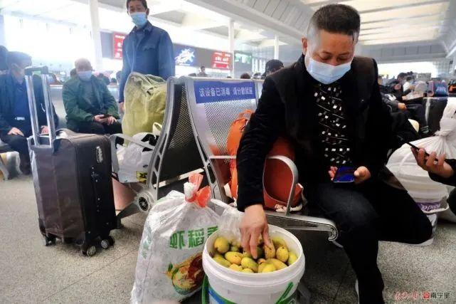 富硒土种植水果(富硒土壤适合种什么经济作物)-硒宝网