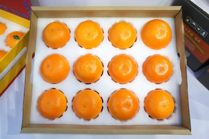 富硒土种植水果(富硒土壤适合种什么经济作物)-硒宝网