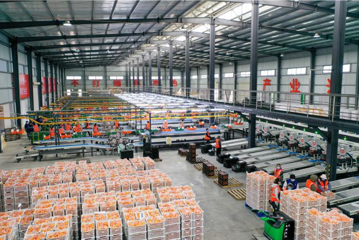 富硒土种植水果(富硒土壤适合种什么经济作物)-硒宝网