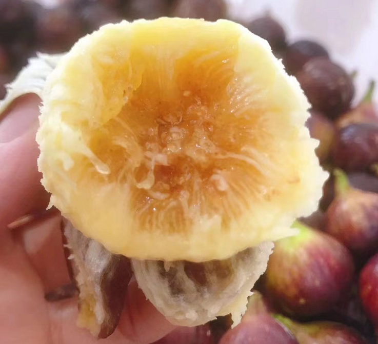 富硒水果的做法（富硒水果功能及作用）-硒宝网