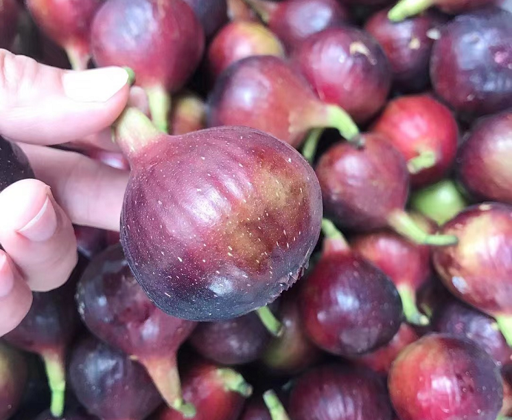 富硒水果的做法（富硒水果功能及作用）-硒宝网