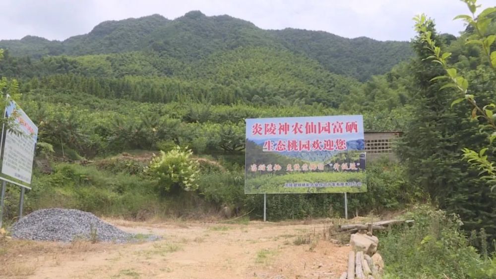 富硒蔬菜种植园(富硒蔬菜是不是非法集资)-硒宝网