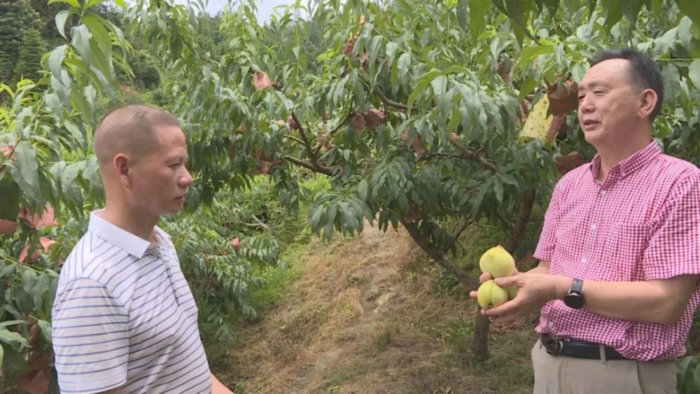富硒蔬菜种植园(富硒蔬菜是不是非法集资)-硒宝网