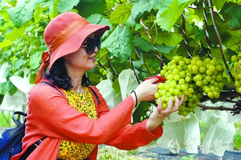 富硒水果采摘园（富硒水果的标准是多少）-硒宝网