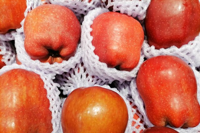 富硒土种植水果(富硒苹果种植技术)-硒宝网