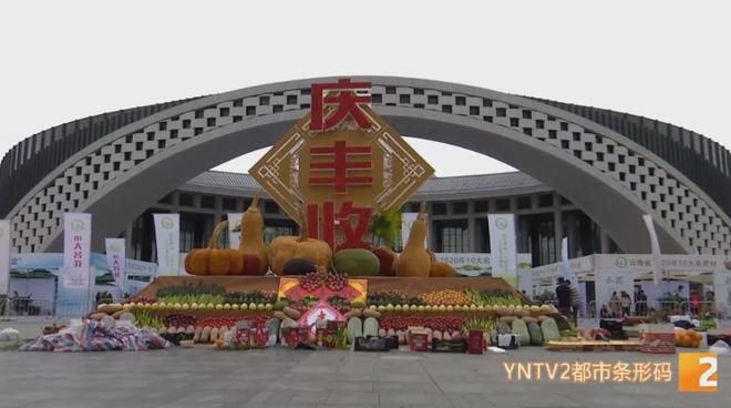 云南的富硒水果（云南富硒茶属于什么茶）-硒宝网