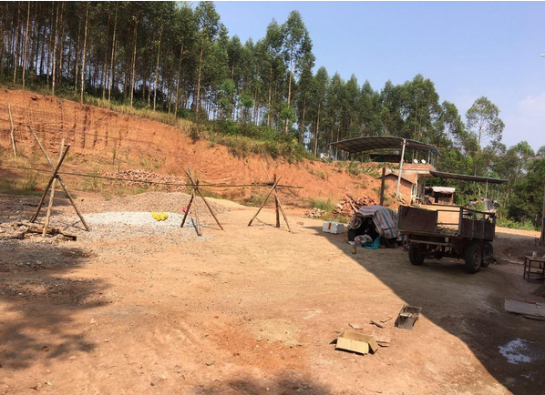 广西富硒米水果(富硒水果前十名)-硒宝网