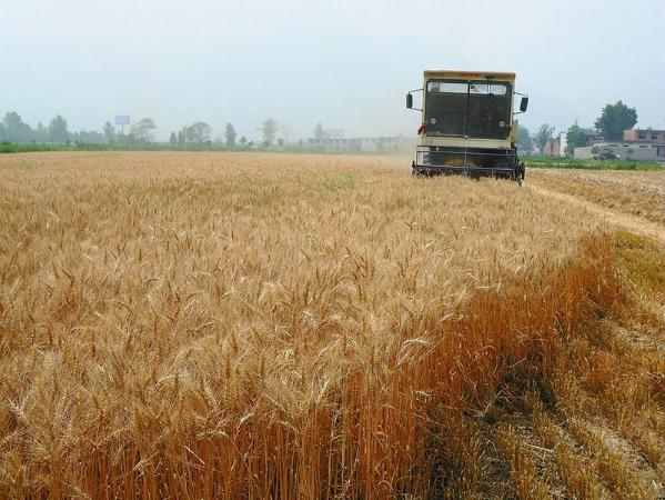 汝河湾富硒水果（富硒水源地）-硒宝网